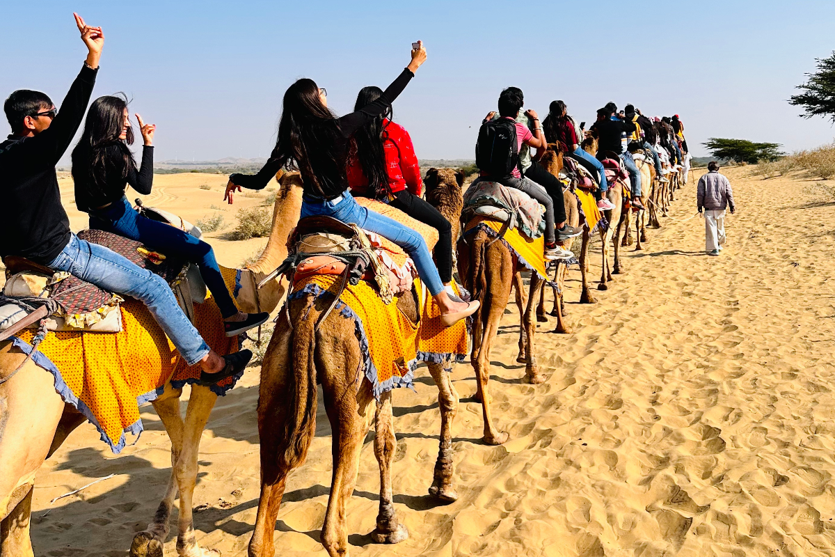 Camel Safari