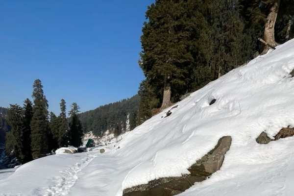 Manali Winter Trip