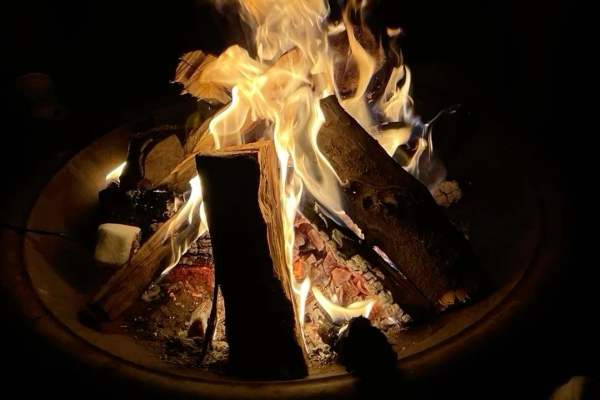 campfire-with-music-himachal-trip